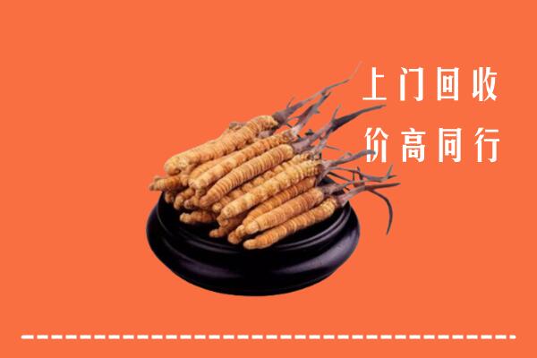 高价求购：温州市回收散虫草
