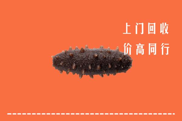高价求购：温州市回收海参