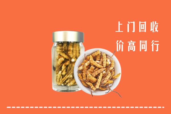温州市回收冬虫夏草