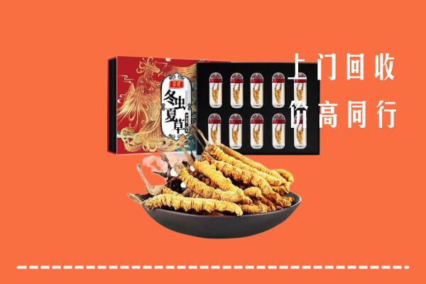 温州市回收虫草